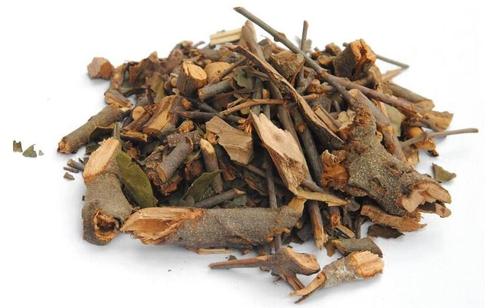 Xử lý dược liệu Tang ký sinh không đạt tiêu chuẩn chất lượng